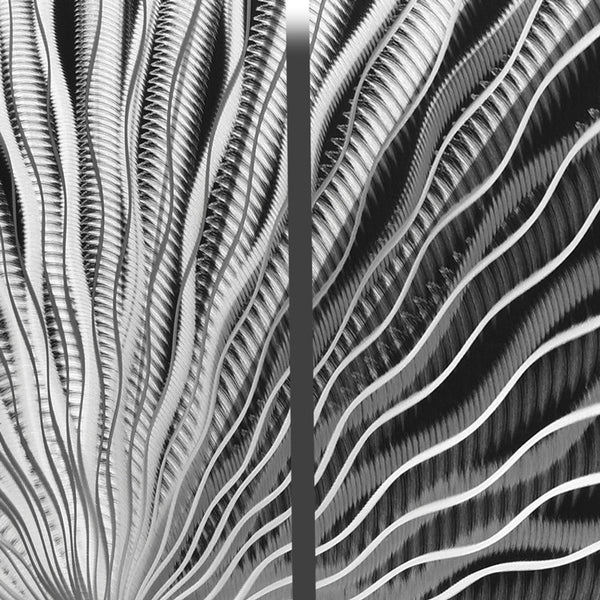 Silver Wall Art "Vibration" by Metal Artist Brian Jones - 68" x 24" x 2"